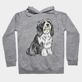 Cute Bearded Collie Dog Hoodie